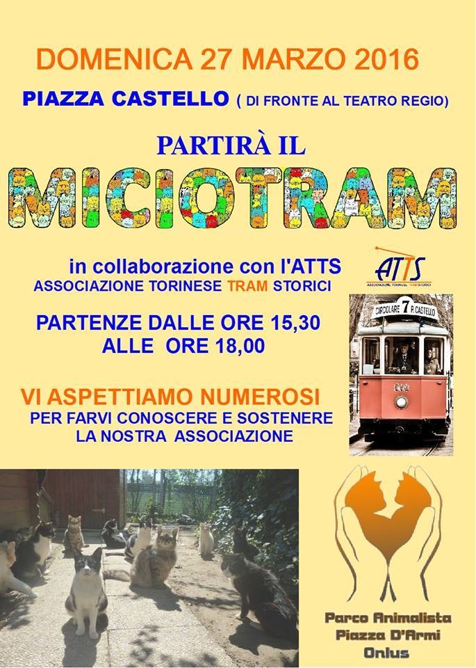 miciotram2